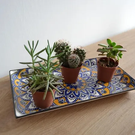 بيت للعطل Ninfea *